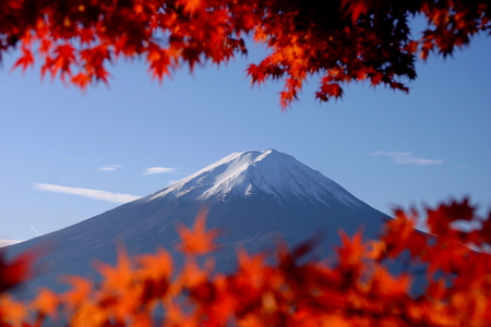 Mt. Fuji